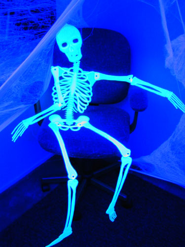 Chillin-me-Bones