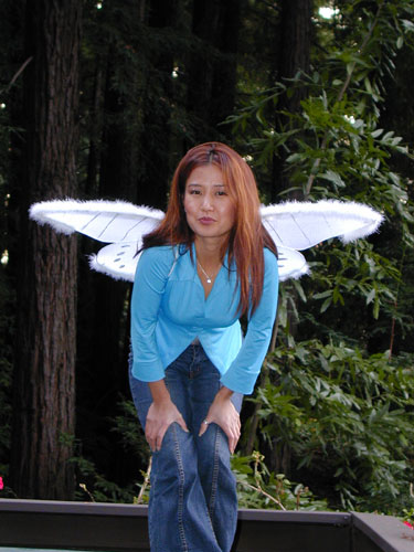 Madam-Butterfly